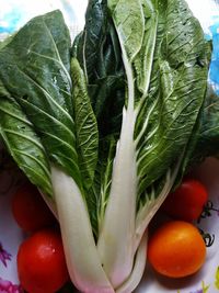 Close-up of vegetables on table