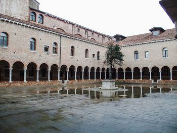 Tree in cloister at monastery