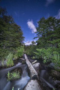 Low angle view of trees against sky at night