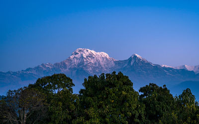 Scenic view of snowcapped mountains against clear blue sky