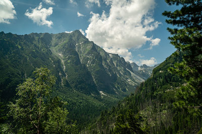 Panoramic view of trees and mountains against sky