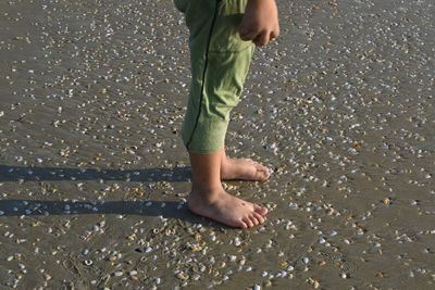Low section of man walking on beach