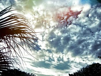 Low angle view of trees against cloudy sky