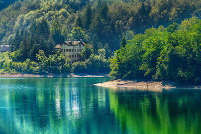 Scenic view of lake by trees and plants