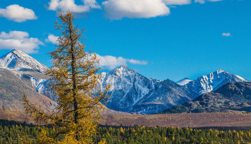 Scenic view of snowcapped mountains against blue sky