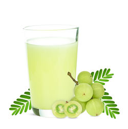 Green fruits against white background