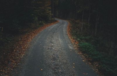 Road in forest during autumn