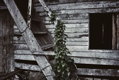 Low angle view of old building