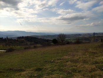 Scenic view of field against sky