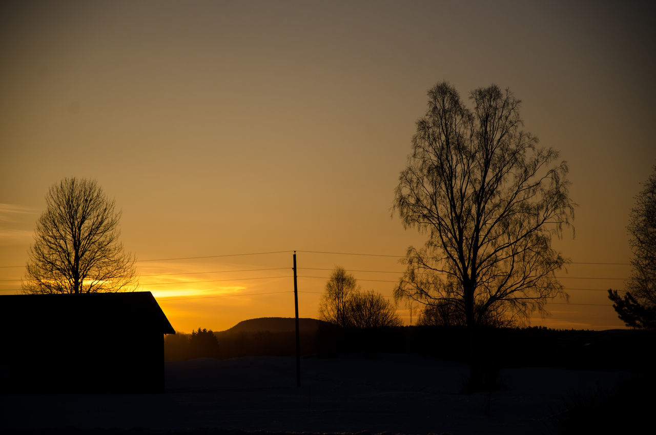 SILHOUETTE BARE TREE AGAINST ORANGE SKY