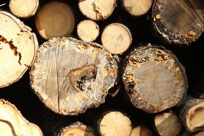 Full frame shot of logs in forest