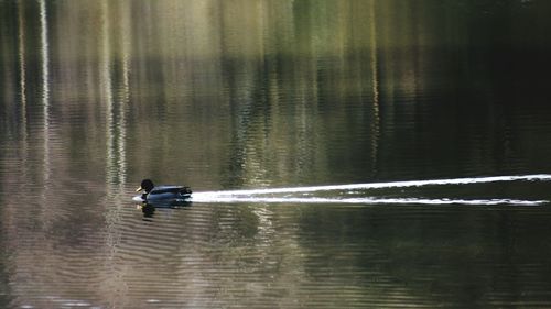 Woman in water