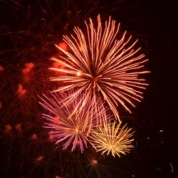 Low angle view of firework display at night