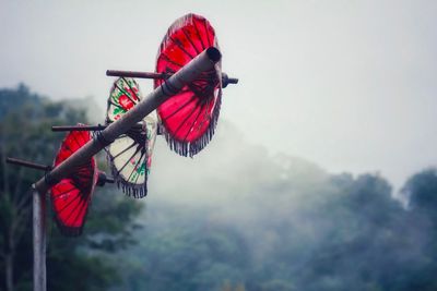 Low angle view of red flags hanging from tree against sky