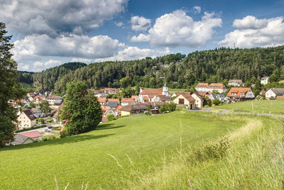 Trees and houses on field against sky