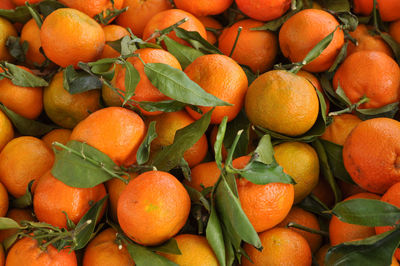 Full frame shot of oranges