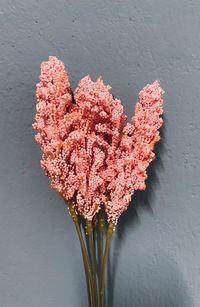 Directly above shot of pink flowers on table against wall