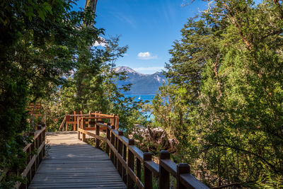 People walking on footbridge amidst trees against sky