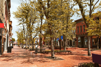 Street amidst trees and buildings in city