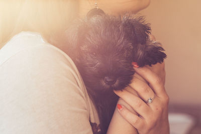 Midsection of woman holding puppy