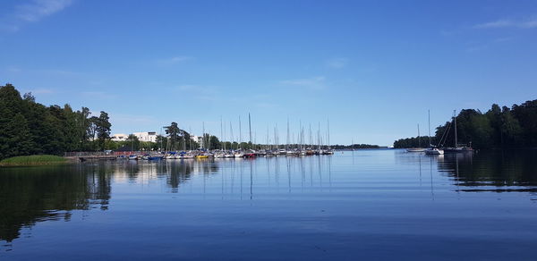 Sailboats in marina