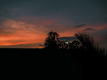 Silhouette trees on field against sky during sunset