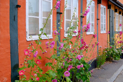 Svaneke at the island of bornholm