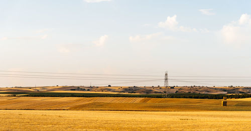 Countryside landscape at summer with yellow fields and electric lines