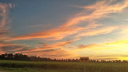 Scenic view of field against sky at sunset