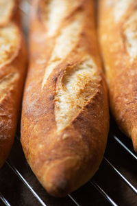 Batch of freshly baked baguettes background. close up.