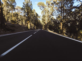 Road amidst trees in forest against sky