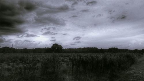 Scenic view of field against cloudy sky