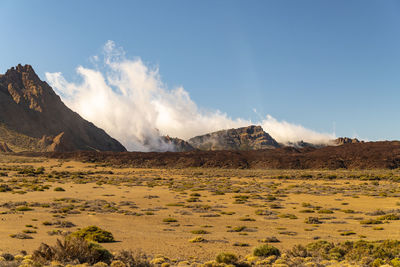 Teide national park with sand, cactus and red rock volcanic formation