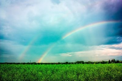 Scenic view of rainbow over field against sky