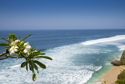 Scenic view of sea against clear sky