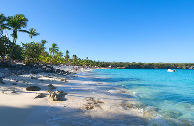 Scenic view of beach against clear blue sky