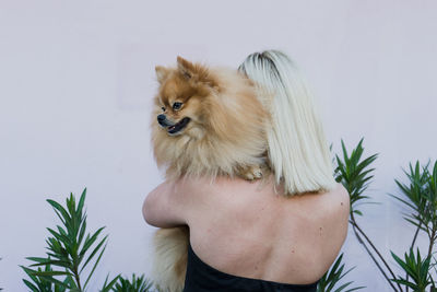 Rear view of woman carrying dog while standing against wall in backyard