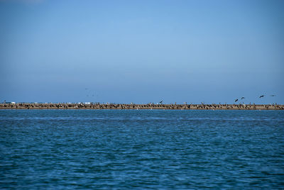 Scenic view of sea against clear blue sky