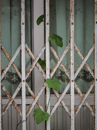 Full frame shot of fence