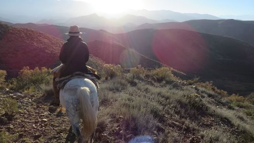 Rear view of person riding on mountain
