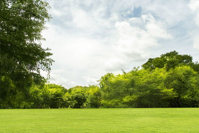 Scenic view of trees on field against sky