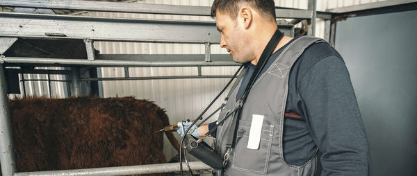 Veterinarian is seen providing necessary injection to dairy cattle, emphasizing essential health