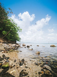 Scenic view of sea against sky