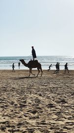 People riding horse on beach against clear sky