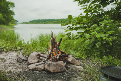 Burning fire with wood and bright orange flame in green summer forest near lake, summer sea camping