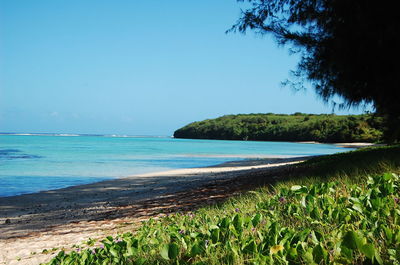 Scenic view of sea against clear blue sky