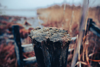 Close-up of rusty metal