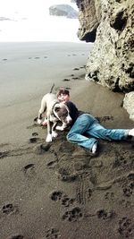 Dog on beach