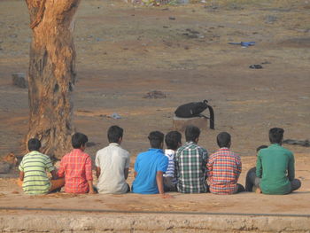 Rear view of woman sitting on bench