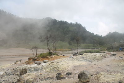 Scenic view of landscape against sky